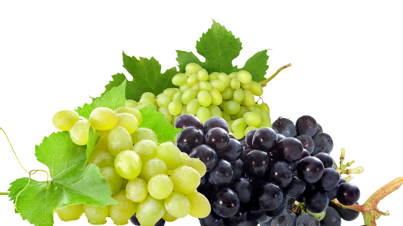 Grapes