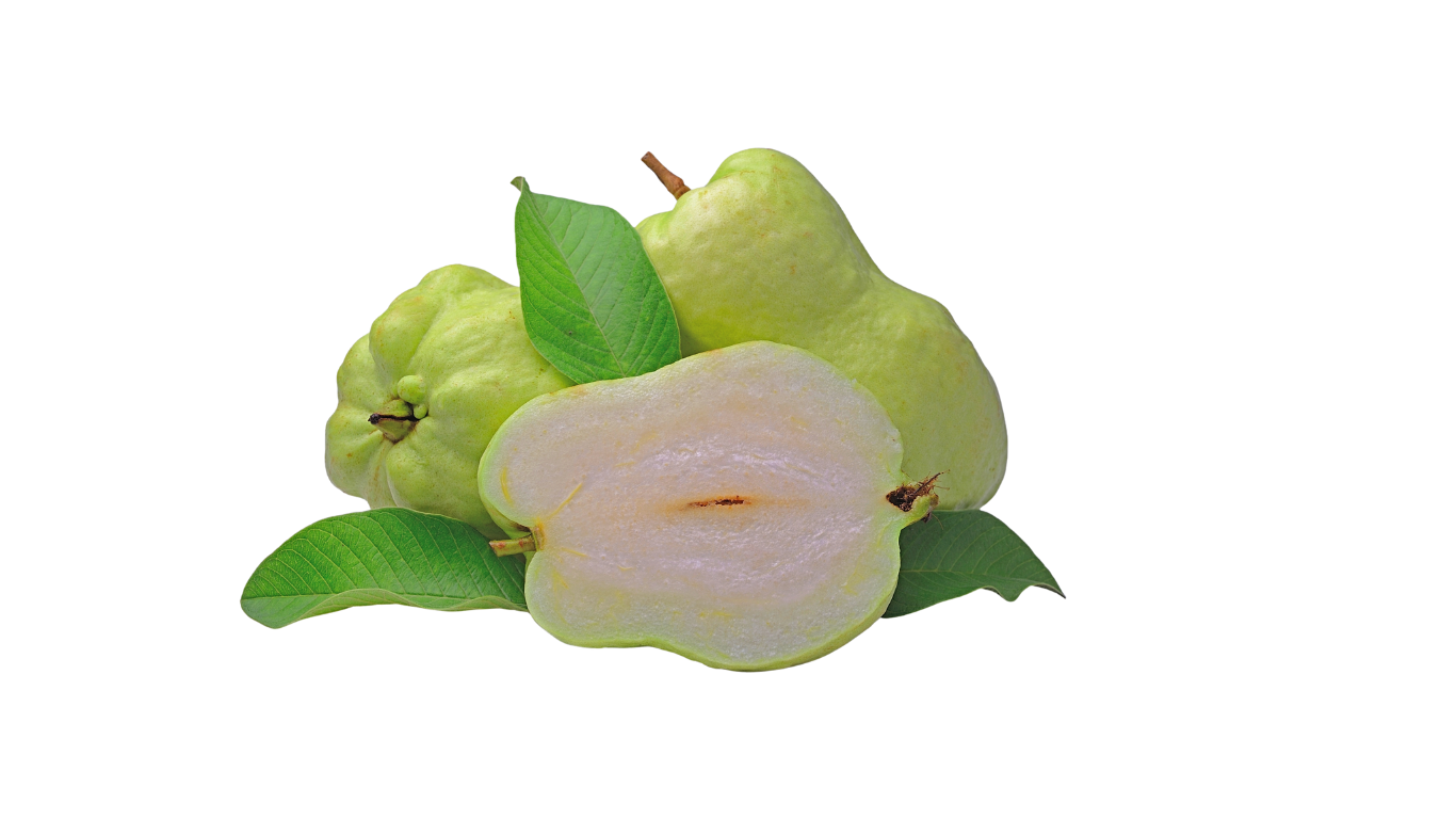 Dehydrated Fruits and Vegetables